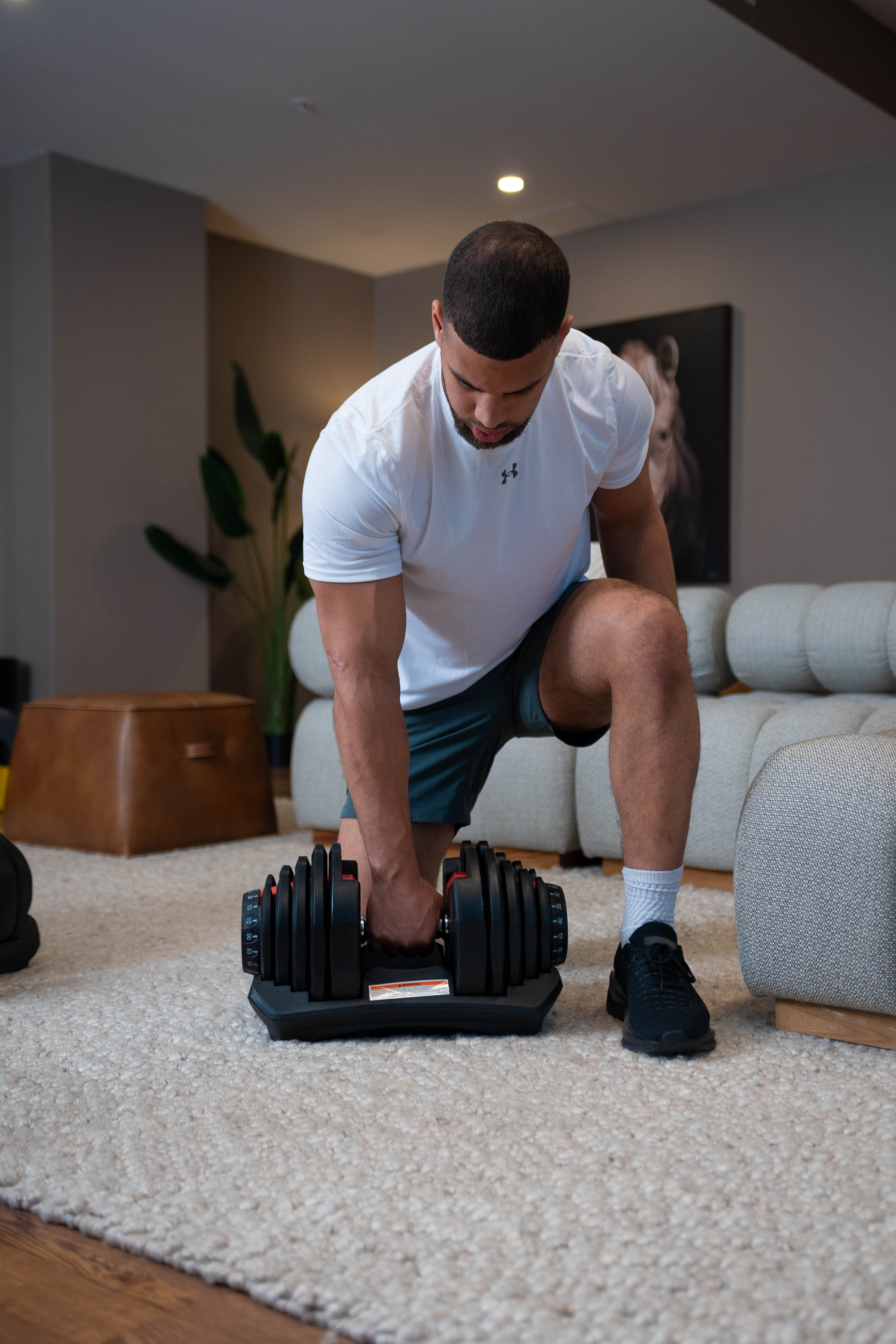 1090 Adjustable Dumbbells Set Of Two – Maison Fitness
